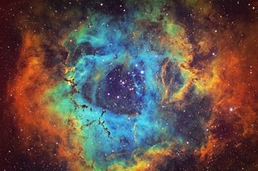 В Екатеринбурге городской транспорт обработают наночастицами