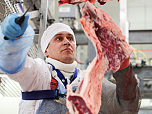 ФАС ответила на прогноз резкого подорожания молока и мяса