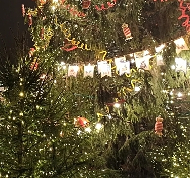 Новый год 2023 в СПб с программой