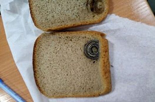Петербуржцев хотели накормить хлебом с подшипником внутри