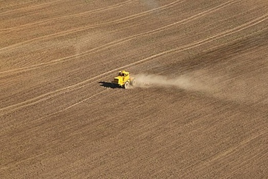 Минсельхоз заявил о полном обеспечении Подмосковья семенами для весенних полевых работ
