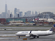 На борту United Airlines погиб гигантский кролик