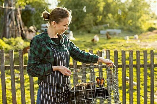 Сведения о фермерах предложили внести в реестр ИП