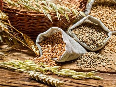 В Башкирии намерены сократить производство зерна и расширить сферу животноводства