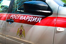 В Пушкино отметили 70-летие вневедомственной охраны