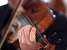 Обнаружен секрет звучания скрипок Страдивари