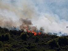 В МВФ оценили последствия войны Ирана и Израиля для мировой экономики