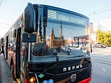 На маршруты Перми вернулись автобусы-"гармошки"