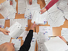 Документы для участия в выборах губернатора Петербурга подали 25 человек