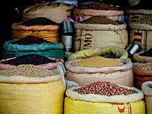 Поставки сельхозпродукции из ЕАЭС в Иран выросли в пять раз за последние пять лет