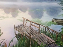 В усадьбе «Знаменское-Губайлово» в октябре будут работать две персональные выставки