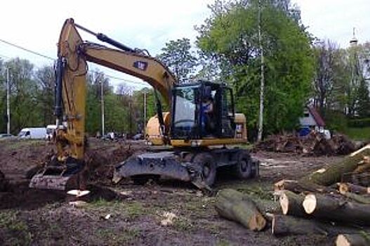 Жительница Светлогорска засудила УК за упавшее на ее авто гнилое дерево