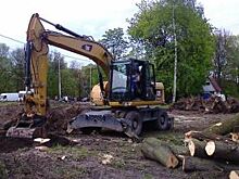 Жительница Светлогорска засудила УК за упавшее на ее авто гнилое дерево