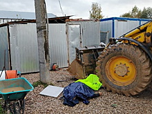 Фитомайнинг