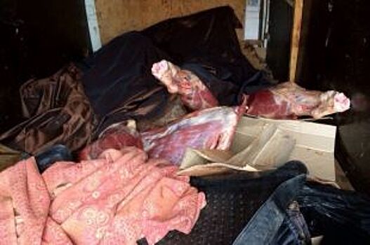 В Псковскую область незаконно везли из Белоруссии 4 тонны говядины