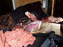 В Псковскую область незаконно везли из Белоруссии 4 тонны говядины