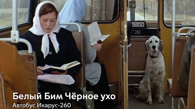 Москвичам показали подборку с автобусами в советском кино