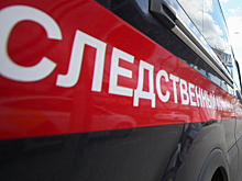 В Орловской области возбудили дело против отца, заставлявшего пятерых детей бить мать