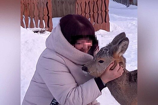 Минприроды осудило приручение детеныша косули жителями села под Новосибирском