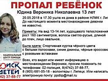 В Липецке без вести пропала школьница