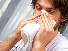Аллерголог назвала эффективный способ профилактики сезонной аллергии