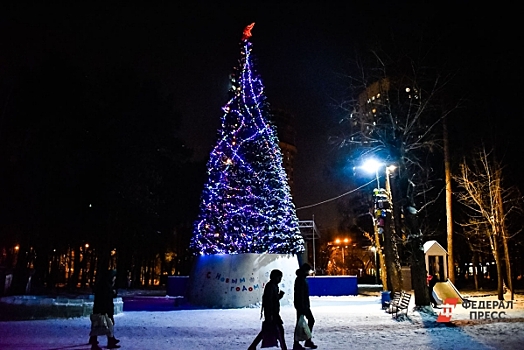 В Екатеринбург привезли елок и новогодних украшений на миллион долларов