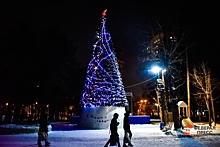 В Екатеринбург привезли елок и новогодних украшений на миллион долларов