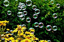 В Японии для опыления растений привлекли мыльные пузыри