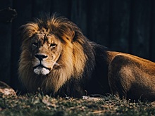 5 причин, по которым Львов сложно любить