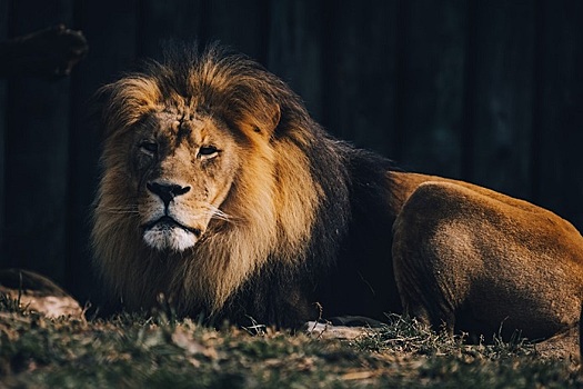 5 причин, по которым Львов сложно любить