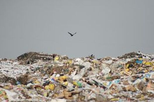 Внимание, опасность! На Алтае накопилось уже 5 тысяч тонн химикатов