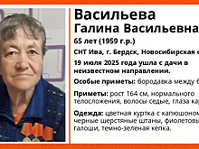 Под Новосибирском без вести пропала 65-летняя бабушка с бородавкой между бровей