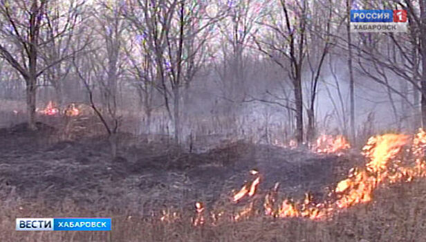 В национальном парке Хабаровского края произошел пожар