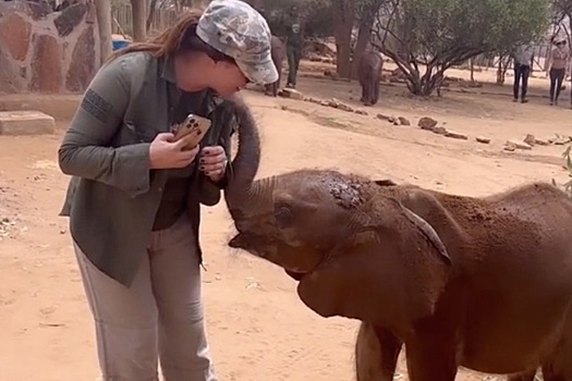 61-летняя Андреева записала на видео поцелуй со слоном в Африке