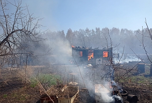 Поле и пять домов в омском СНТ сгорели из-за дачника, который жег в бочке траву