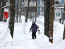 "Валли" принес в Москву 21 мм осадков, обновлен рекорд 56-летней давности