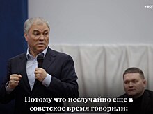 «Кто начальству не люб, тот поедет в Перелюб». Володин раскритиковал министра и мэра Саратова после разрешения построить дома рядом с переполненной школой