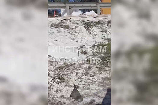 Фура засыпала трассу сахаром после ДТП в Тульской области