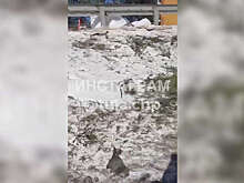 Фура засыпала трассу сахаром после ДТП в Тульской области