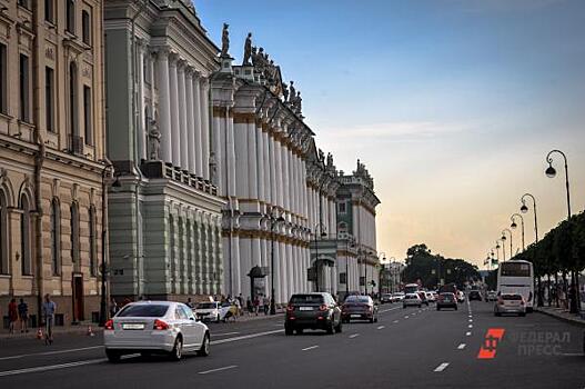 Избирком Санкт-Петербурга временно возглавила Алла Егорова