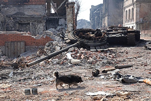 Рядовой Кольцов в одиночку сжег украинский БТР