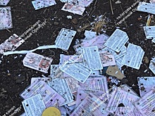 Под Оренбургом нашли свалку просроченных водительских документов