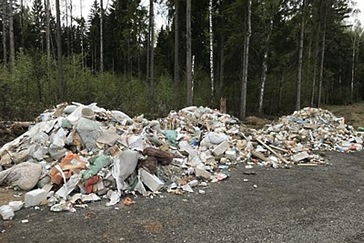 Несанкционированный сброс свыше 1,3 тыс кубометров отходов предотвратили в Подмосковье