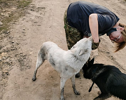 Новосибирцы отправились спасать диких зверей из пожаров Якутии