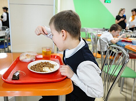 Как будут питаться владимирские школьники?