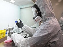 Главное о коронавирусе на 23 января: "омикрон" не закончит пандемию COVID-19, в Татарстане есть запас лекарств