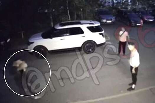 В Югре на видео попало, как мужчина порезал ножом человека на дороге