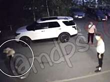 В Югре на видео попало, как мужчина порезал ножом человека на дороге