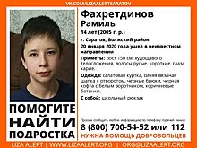 Пропавший в Саратове мальчик найден живым