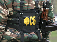 Задержанные в Москве члены ИГ хотели взорвать "Теплый Стан"